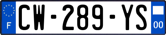 CW-289-YS