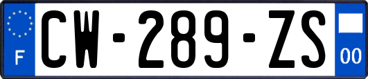 CW-289-ZS