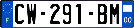 CW-291-BM