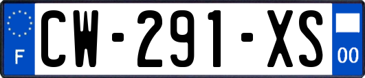 CW-291-XS