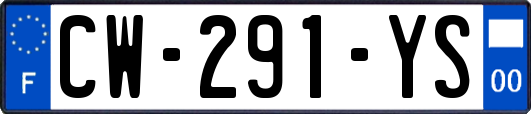 CW-291-YS