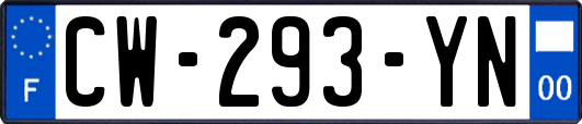 CW-293-YN