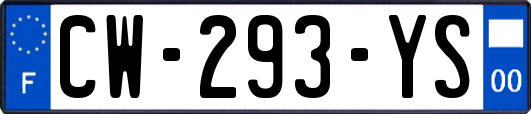 CW-293-YS