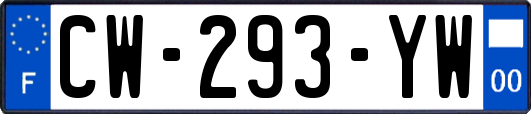 CW-293-YW