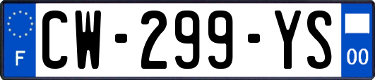 CW-299-YS