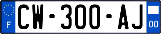 CW-300-AJ