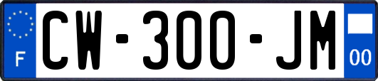 CW-300-JM