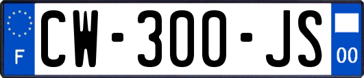 CW-300-JS