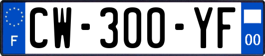 CW-300-YF