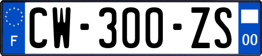 CW-300-ZS