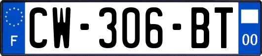 CW-306-BT