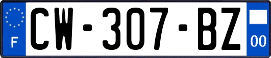 CW-307-BZ