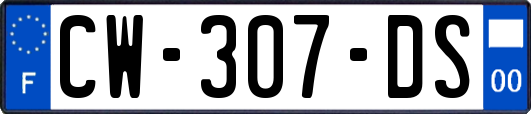 CW-307-DS