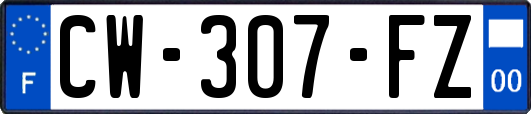 CW-307-FZ