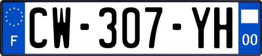 CW-307-YH