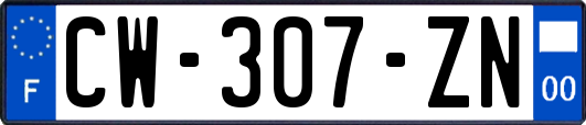 CW-307-ZN