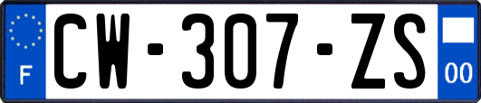 CW-307-ZS