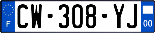 CW-308-YJ