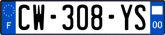 CW-308-YS