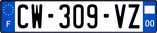 CW-309-VZ