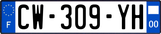 CW-309-YH