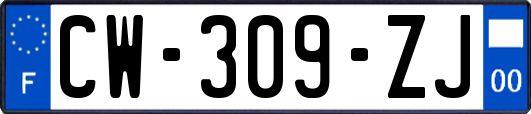 CW-309-ZJ