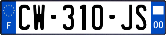 CW-310-JS