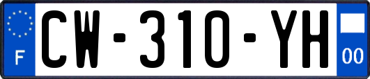 CW-310-YH