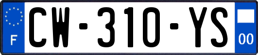 CW-310-YS