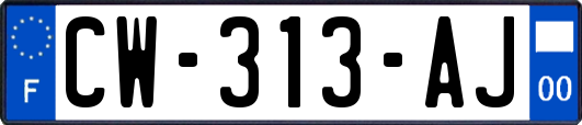 CW-313-AJ