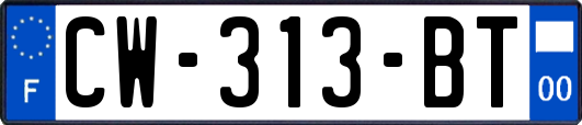 CW-313-BT