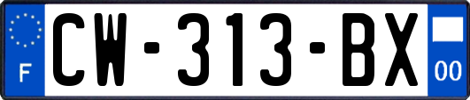 CW-313-BX