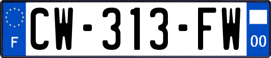 CW-313-FW