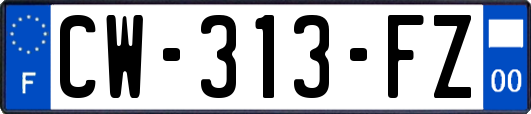 CW-313-FZ