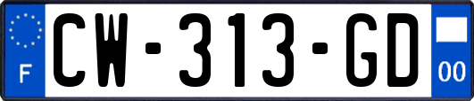 CW-313-GD