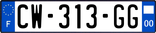 CW-313-GG