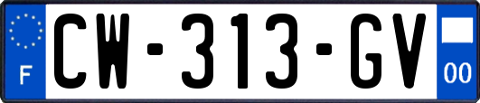 CW-313-GV