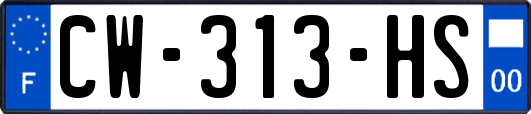 CW-313-HS