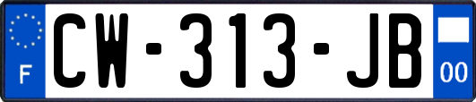 CW-313-JB