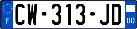 CW-313-JD