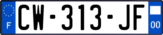 CW-313-JF
