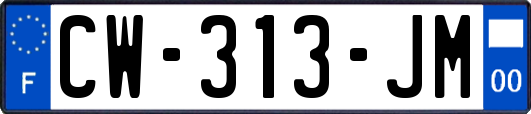 CW-313-JM
