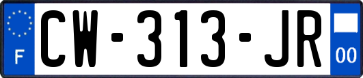 CW-313-JR