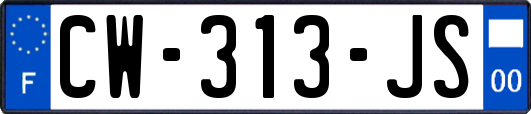 CW-313-JS