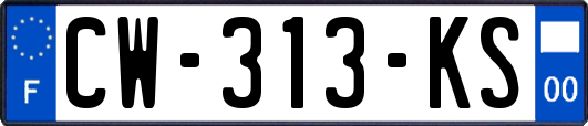 CW-313-KS