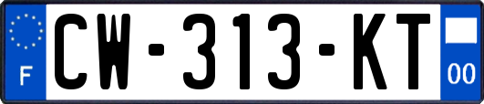 CW-313-KT