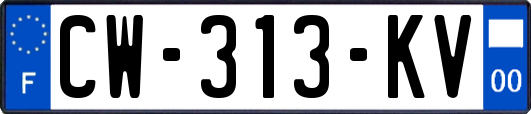 CW-313-KV