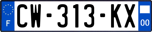 CW-313-KX
