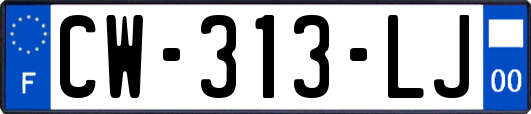 CW-313-LJ