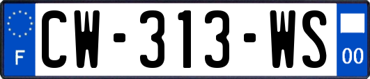 CW-313-WS